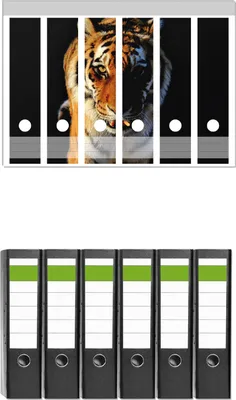 Produktbild von Wallario 6 Stück breite Ordner inkl. Klebeetiketten mit Motive Laufender Tiger -  Set mit Rückenschildern / Ordnerrücken Stickern