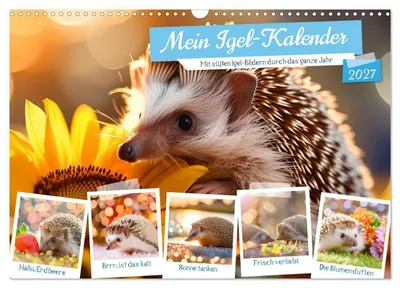 Produktbild von Mein Igel-Kalender (Wandkalender 2027 DIN A3 quer), CALVENDO Monatskalender