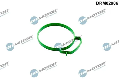 Produktbild von DR.MOTOR AUTOMOTIVE Dichtung Drosselklappe DRM02906 für FORD FOCUS (DAW, DBW)
