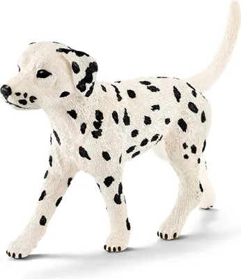 Immagine prodotto di Schleich® 16838 Schleich® Farm World 16838 Dalmatiner Rüde Figur