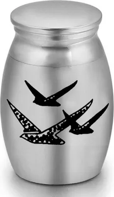 Produktbild von Elegante Mini Urne für Asche - 15 ML - 25 x 16 mm - Gedenkurne für Haustiere und Menschen - Silber