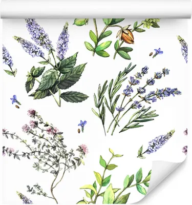 Produktbild von 10m VLIES TAPETE Rolle Blumen Blätter Lavendel Samen Natur Aquarell XXL