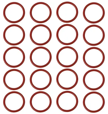 20er-Pack O-Ring 43x35x4 mm für DeLonghi Kaffeemaschinen