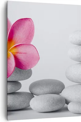 Produktbild von Bild auf Leinwand - Leinwandbild - Einteilig - Spa buddhismus ruhig blume - 70x100cm - Wand Bild - Wanddeko - Wandbilder - Leinwanddruck - Wanddekoration - Leinwand bilder - Wandbild - PA70x100-2304