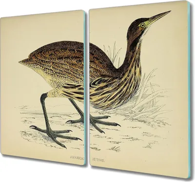 Produktbild von Coloray Kochplattenabdeckung Herdabdeckplatte 2x30x52 cm Hackbrett Schneidebrett Küchenbrett - Vogel Zeichnung