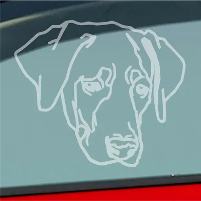 Produktbild von Auto Aufkleber Labrador Labi Labbi Hund Dog 12x10 cm Milchglas Sticker Heckscheibenaufkleber