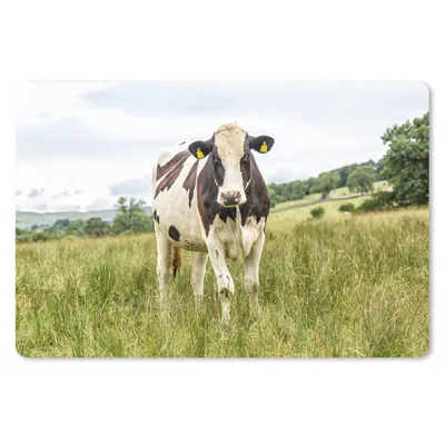 Produktbild von MuchoWow® Mauspad Mousepad Kuh - Gras - Landschaft 27x18 cm - Mousepads - Maus Mat - Pad - Mausunterlage - Büroartikel - Desk Matten