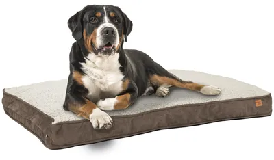 Produktbild von Hundebett Hundekorb Hundekissen 120 x 78 cm Waschbar & Rutschfest Happy Dreams XL Braun ib style®