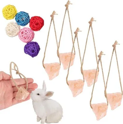 Imagen del producto de Piedra de sal para cobayas y hámsteres, para afilar los dientes, masticar y como juguete