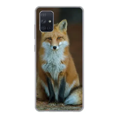 Produktbild von MuchoWow® Handyhülle Schutzhülle Hülle für Samsung Galaxy A71 Fuchs - Makro - Rot Silikon Softcase Handy Hülle - Kartenbesitzer