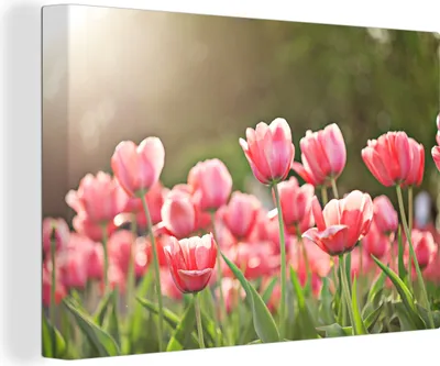 Produktbild von MuchoWow® - Leinwandbilder - Tulpen - Sonne - Frühling, Wandbild, Wanddeko Bilder Wohnzimmer, 90x60cm