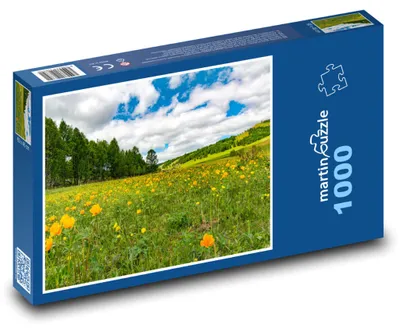 Obrázek produktu pro Puzzle 1000 Rozkvetlá louka - martinpuzzle