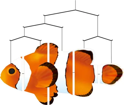 Produktbild von HQ Windspiel Ocean Mobiles Clownfish