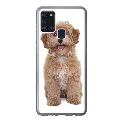 Produktbild von MuchoWow® Handyhülle Schutzhülle Hülle für Samsung Galaxy A21s Hund - Haustiere - Fell Silikon Softcase Handy Hülle - Hartschale