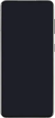 Produktbild von Samsung Galaxy S21 5G Display (mit Rahmen) Phantom Grey (grau)