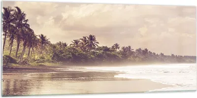 Produktbild von Bilder auf glas - Einteilig - Palmen Strand Wasser - 120x50cm - Glasbilder - Wandbilder - Bilder - zum Aufhängen bereit - Wanddekoration aus Glas - Glas Bilder - Wandbild auf Glas - GAB120x50-4917
