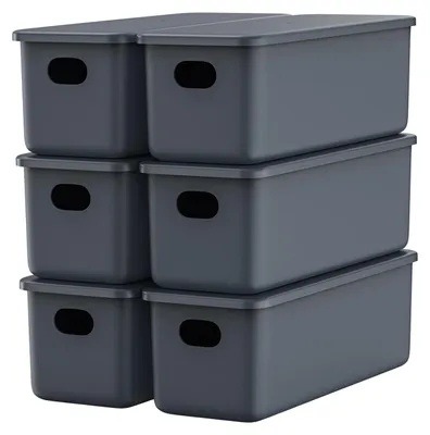 Produktbild von 6er-Set Aufbewahrungsboxen mit Deckel, PP-Kunststoff, 6 x 2,8 l (28 x 10,5 x 9,5 cm), grau