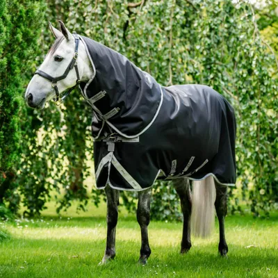 Zdjęcie produktu dla Horseware Amigo 1200D Plus, derka do wypasu, 250g, rozmiar: 155 cm / 6'9, kolor: czarny/szary tytanowy/srebrny