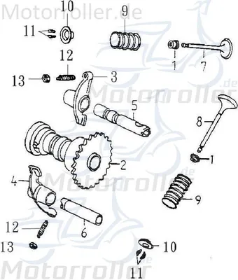 Produktbild von Adly Dichtung Ventilschaft Dichtungsring Quad 272ccm 4Takt Motorroller.de Ventilschaftdichtung Ventilschaftabdichtung Ventildichtung Dichtung-Ventil