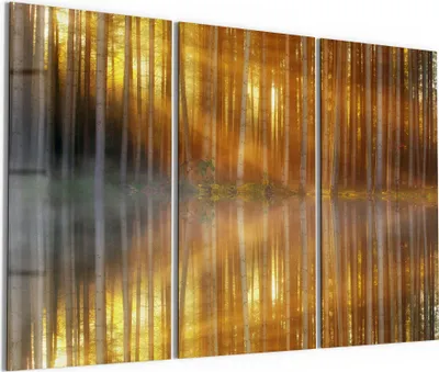 Produktbild von DEQORI Glasbild Echtglas 3x50x100 cm 'Waldspiegelung am See' Wandbilder XXL groß