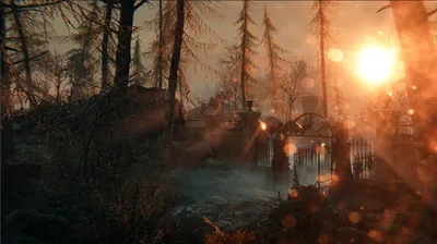 A dark, misty forest scene with a wrought-iron gate and trees silhouetted against a bright, hazy sun.
