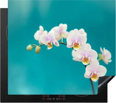 Produktbild von KitchenYeah© Herdabdeckplatte Orchidee - Blumen - Pflanze - Weiß - Lila , 59x52cm, Küche Deko, Glaskeramikkochfeld Herdabdeckung, Abdeckplatte fùr Kochfeld