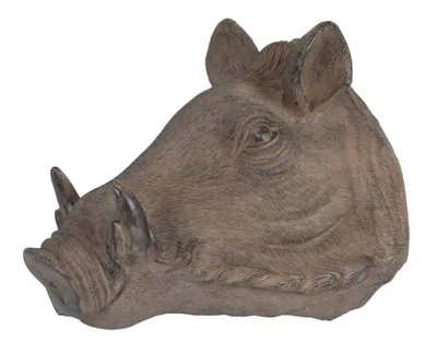 Produktbild von Wildschweinkopf, Wanddekoration