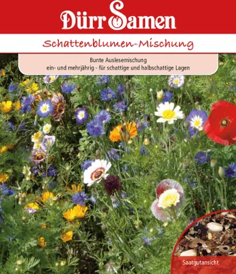 Produktbild von Schattenblume Mischung | Schattenblumensamen von Dürr Samen