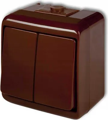 Obrázek produktu pro Hermetický Dvojitý Spínač Ip54 Hnědý Nt N/T 2X
