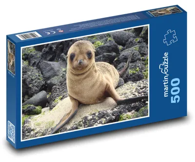 Obrázok produktu pre Puzzle 500 Uškatce - Galapágy, mláďa - martinpuzzle
