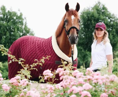 Image de Kentucky Horsewear Show Rug 160g, Taille:145, Couleur:bordeaux