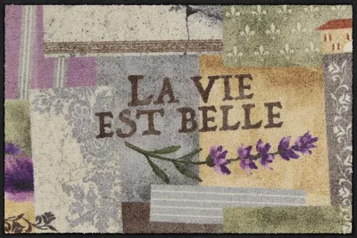 Produktbild von Salonloewe LA VIE EST BELLE Fußmatte Wohnmatte 50 x 75 cm