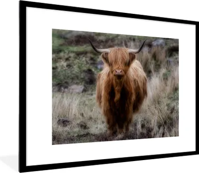 Produktbild von MuchoWow® Gerahmtes Poster Schottischer Hochländer - Moos - Gras 80x60 cm - Poster mit Schwarzem Bilderrahmen Wandposter Rahmen Foto Bilder - Schlafzimmer-Dekorationen - Fotoposter