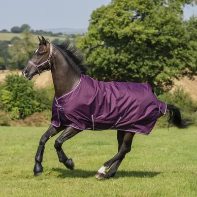 Image de Couverture de monte Bucas, taille 155 - Freedom Turnout, 150g - Couleur : Noir cerise