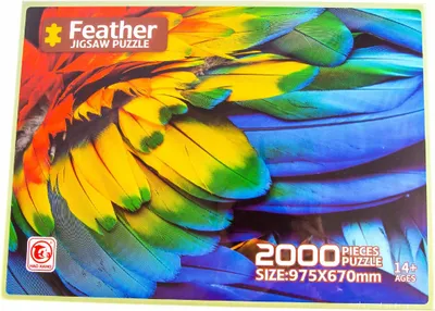 Zdjęcie produktu dla PUZZLE 2000el. Kolorowe pióra