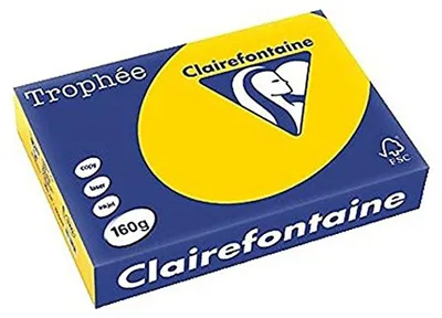 Produktbild von Clairefontaine Multifunktionspapier Trophée A4 160 g/qm goldgelb 250 Blatt