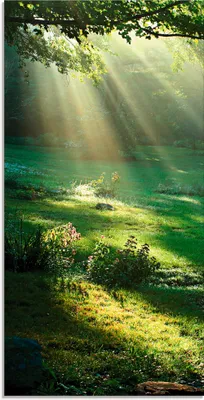 Produktbild von ARTland Glasbild Lichtkegel Größe: 50x100 cm