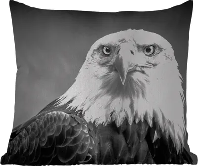 Produktbild von MuchoWow® Outdoor Kissen - Adler - Raubvogel - Schwarz - Weiß - Tiere - 60x60 cm - Wetterfest - Lounge Kissen - Dekoration - Schlaf Kissen