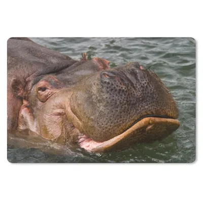 Produktbild von MuchoWow® Mauspad Mousepad Nilpferd - Wasser 27x18 cm - Mousepads - Maus Mat - Pad - Mausunterlage - Büroartikel - Desk Matten