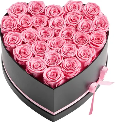 Image de SucceBuy 27 pcs. Roses éternelles en boîte cœur, bouquet conservé, boîte cadeau pour femme, mère, partenaire, pour mariage, fête des mères, Saint-Valentin, Noël, rose