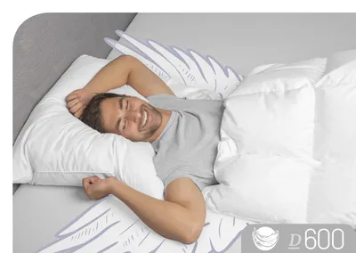 Produktbild von Schlafstil Kissen 3-Kammerkissen D 600 40 x 80 cm