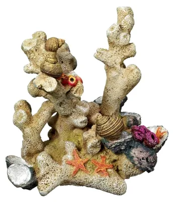 Produktbild von Korallenornament für Aquarien, 13,0 x 9,5 x 14,0 cm, 1 Stück