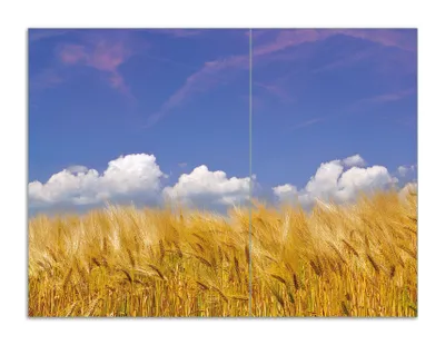 Produktbild von Wallario Herdabdeckplatte aus Glas, Größe 70 x 52 cm 2-teilig, Motiv Kornfeld unter blauem Himmel