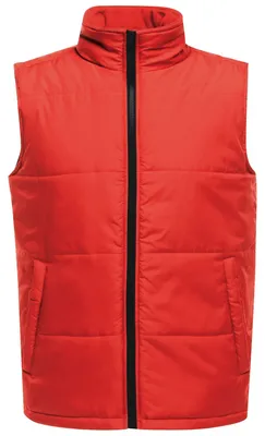 Productafbeelding van Regatta Heren Gilet, geïsoleerd, warm werkpak