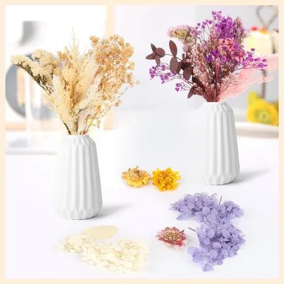 Produktbild von Azomor® Set aus 2 Natürlichen Trockenblumen für Kreative DIY-Projekte