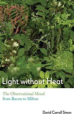 Productafbeelding van Light Without Heat