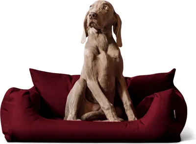 Produktbild von tierlando NEMO Hundebett Hundesofa S M L Hundekorb Katzenbett 65 80 100cm - Größe: 100x80cm | Farbe: 29 Bordeaux