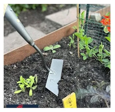 Image de Houe droite 16 cm - Forgée - Désherbage