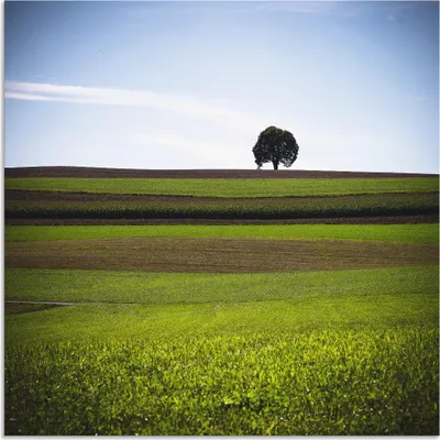Produktbild von ARTland Wandbild Alu für Innen & Outdoor Der Baum Größe: 50x50 cm