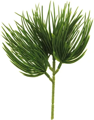 Produktbild von artplants.de Deko Zweig Pinie TANNAN, 25 cm - Küntslicher Pinienzweig